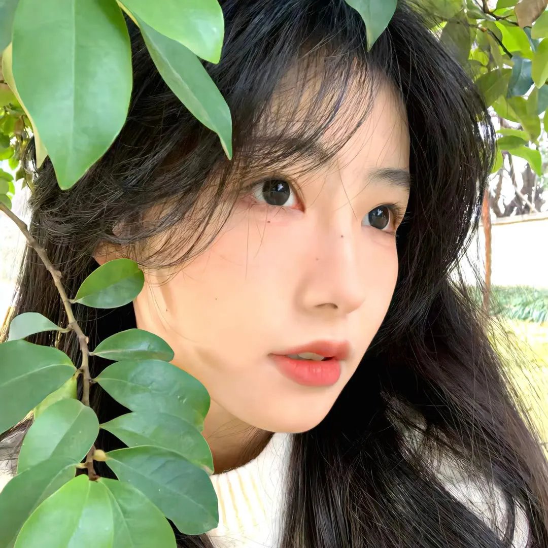 我到民国当少帅