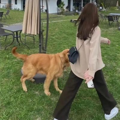 万物生灵第四季